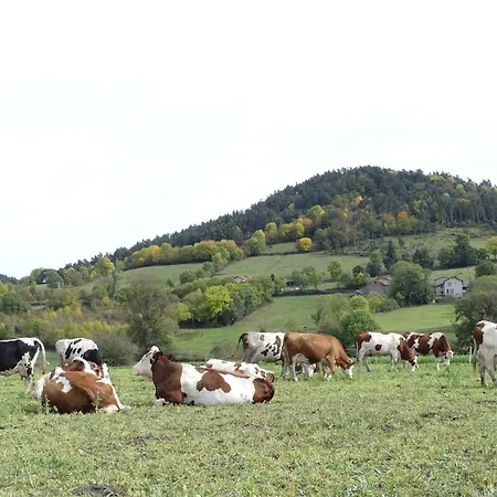 Ferme Renovee, Vue Panoramique - Pers. - Fr-1-582-552 Nyaraló